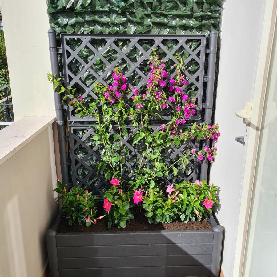 Maison Flavia Sorrento Esterno foto